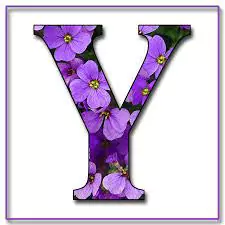 y name dp download